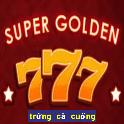 trứng cà cuống là gì