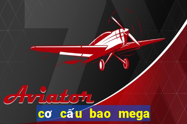 cơ cấu bao mega 6 45