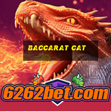 baccarat cat