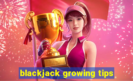 blackjack growing tips