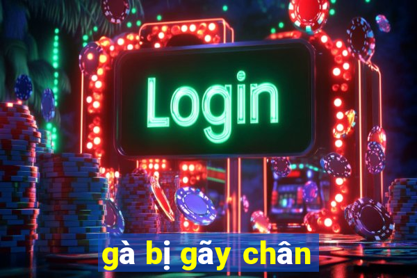 gà bị gãy chân