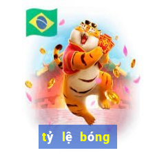 tỷ lệ bóng đá 2 trong 1