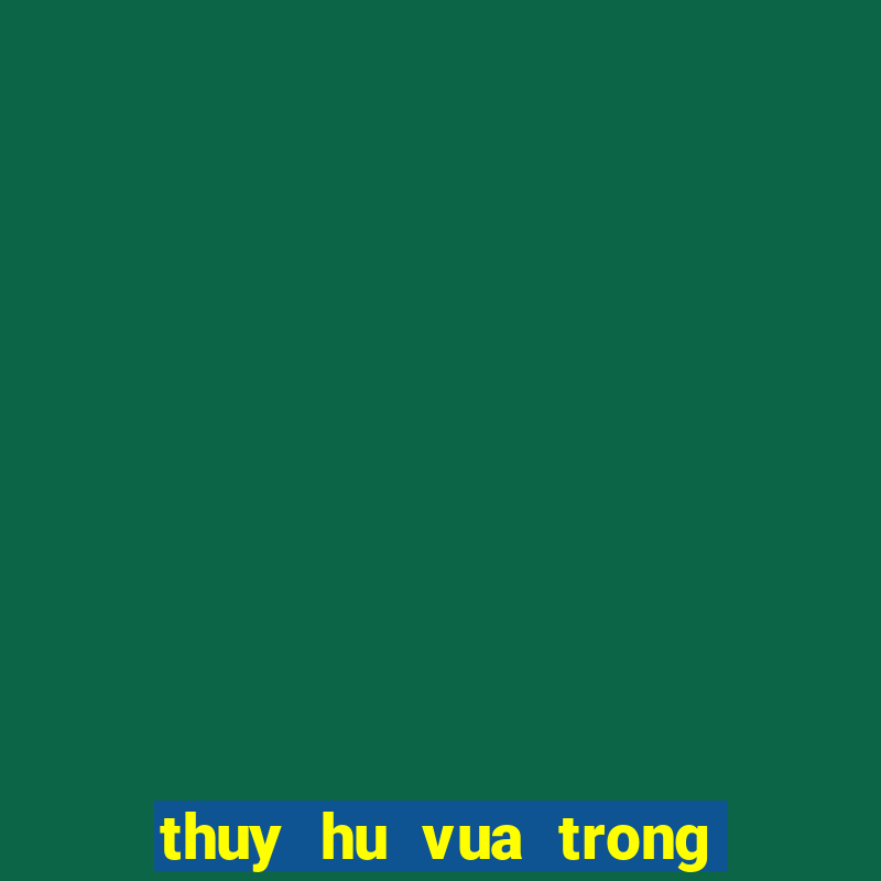 thuy hu vua trong thoi thien tap 11