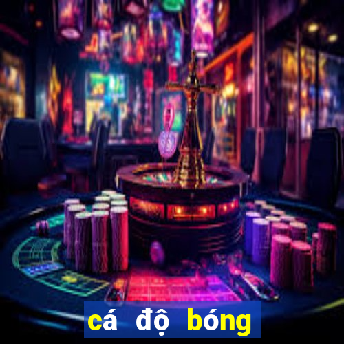 cá độ bóng đá online dongtamlongan