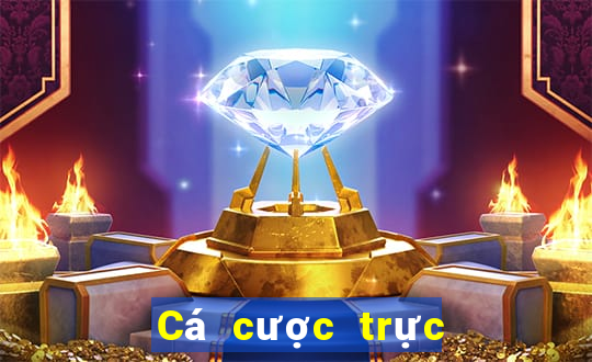 Cá cược trực tuyến Bet888