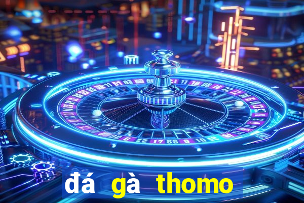 đá gà thomo hôm nay trận 21