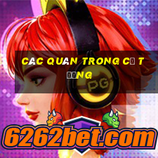 các quân trong cờ tướng