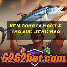 xem bóng đá ngoại hạng anh kênh nào