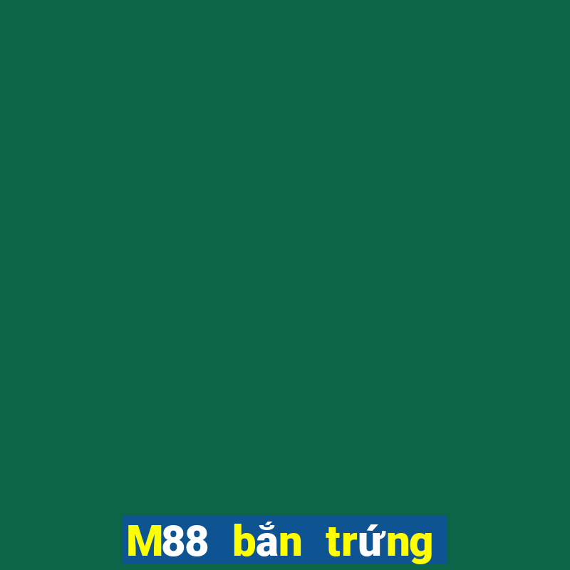 M88 bắn trứng 28 việt nam 28 Việt nam 28