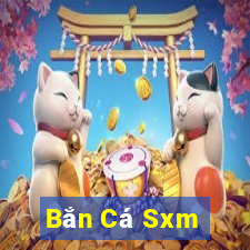 Bắn Cá Sxm