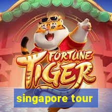 singapore tour