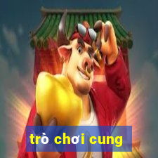 trò chơi cung