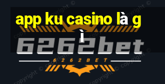 app ku casino là gì