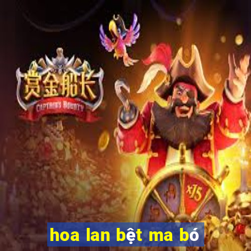 hoa lan bệt ma bó