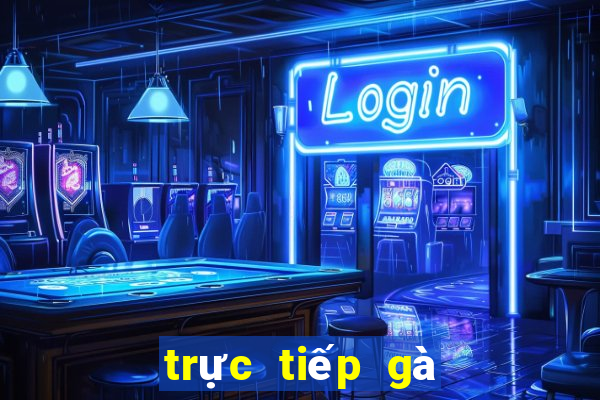 trực tiếp gà đá casino