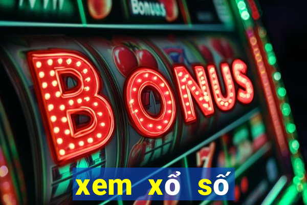 xem xổ số miền bắc trong tuần