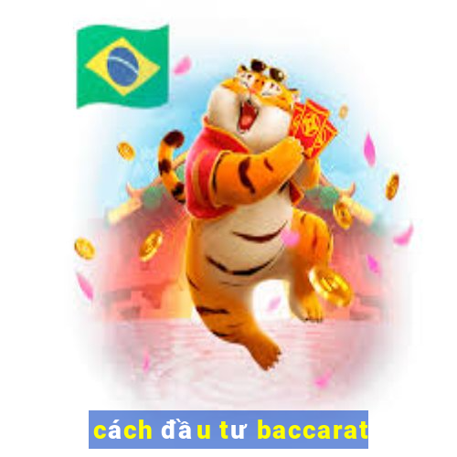 cách đầu tư baccarat