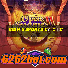 bbin Esports cá cược