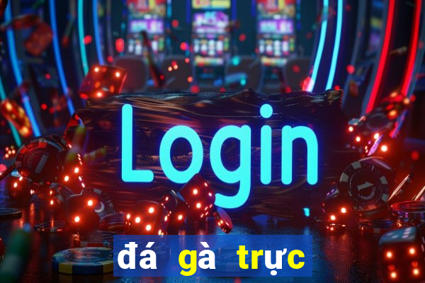 đá gà trực tiếp casino 999