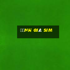 định giá sim