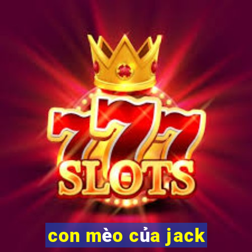 con mèo của jack