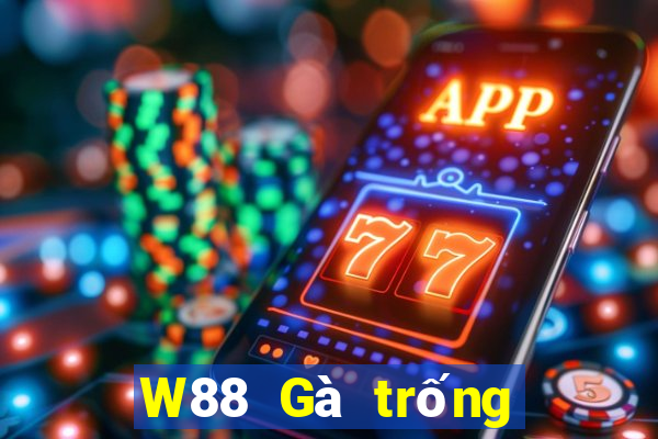 W88 Gà trống lớn xếp ngũ táo