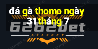 đá gà thomo ngày 31 tháng 7