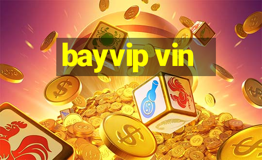 bayvip vin