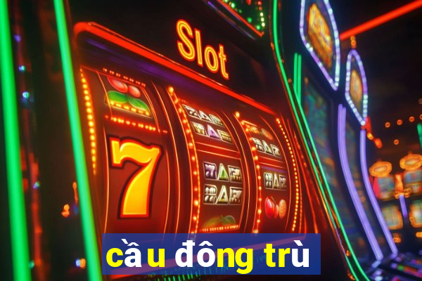 cầu đông trù