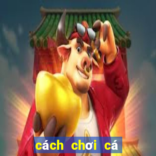 cách chơi cá cược bóng đá