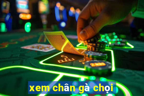 xem chân gà chọi