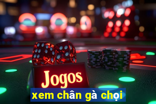 xem chân gà chọi