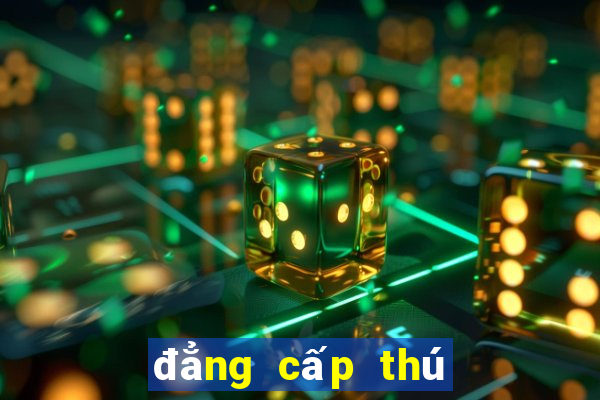 đẳng cấp thú cưng 2