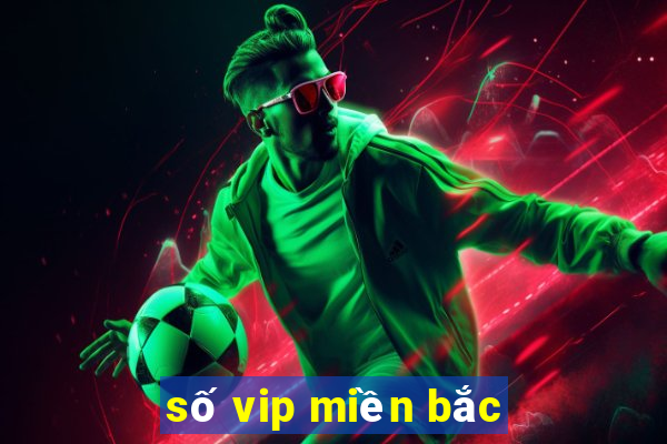 số vip miền bắc