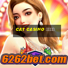 cat casino вход