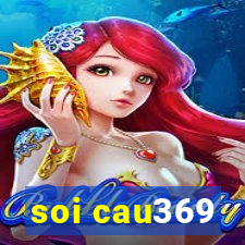 soi cau369