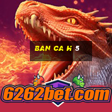 ban ca h 5