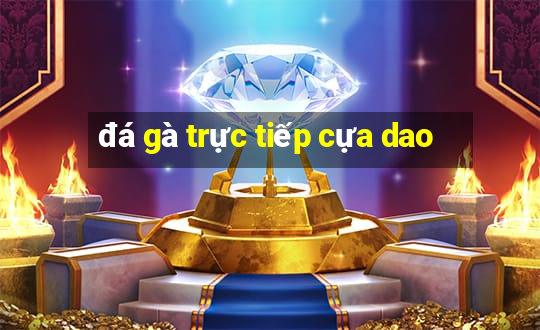 đá gà trực tiếp cựa dao