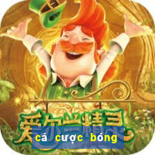 cá cược bóng đá nhà cái