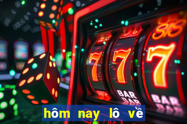 hôm nay lô về con gì