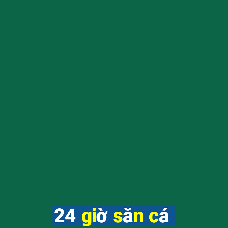 24 giờ săn cá