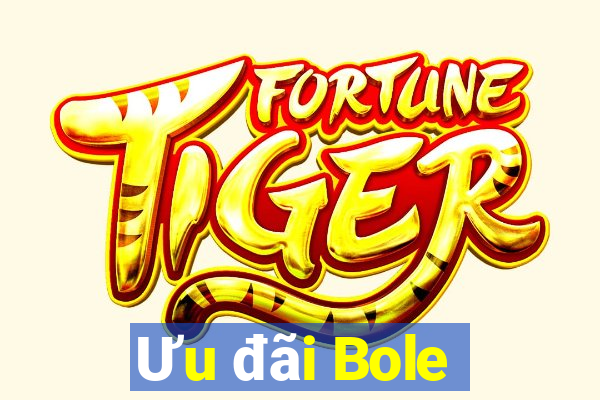 Ưu đãi Bole