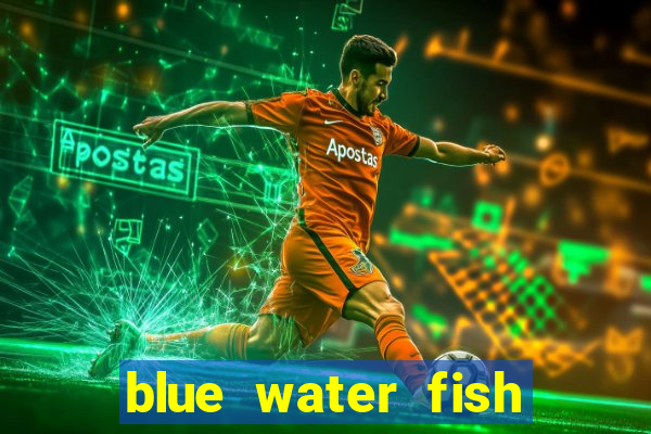 blue water fish slot game