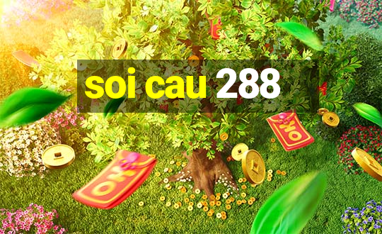 soi cau 288