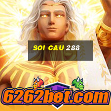 soi cau 288