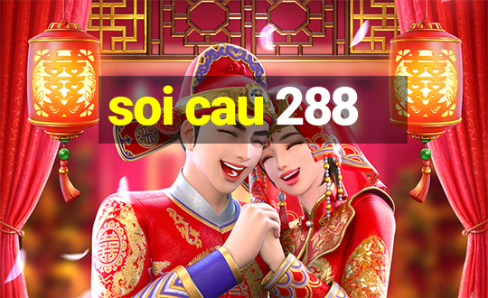 soi cau 288