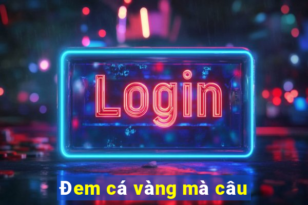 Đem cá vàng mà câu