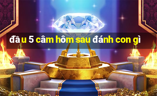 đầu 5 câm hôm sau đánh con gì