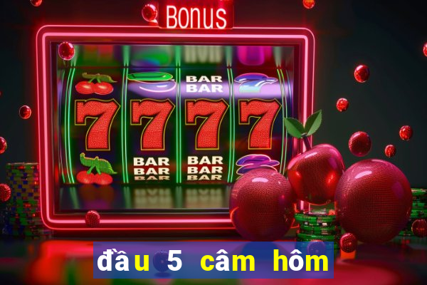 đầu 5 câm hôm sau đánh con gì