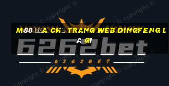 M88 Địa chỉ trang web Dingfeng là gì